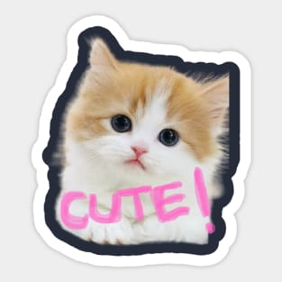 cuta cat Sticker